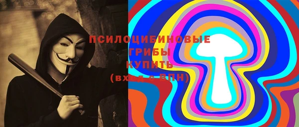 гидра Медногорск