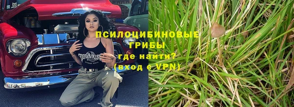 гидра Медногорск