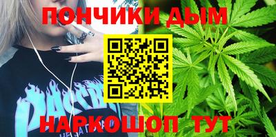прущие грибы Заводоуковск