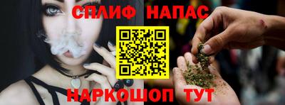 прущие грибы Заводоуковск