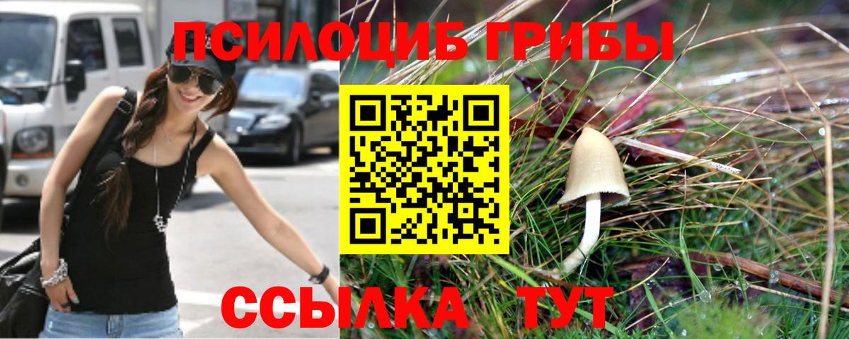 Галлюциногенные грибы Magic Shrooms Кимовск