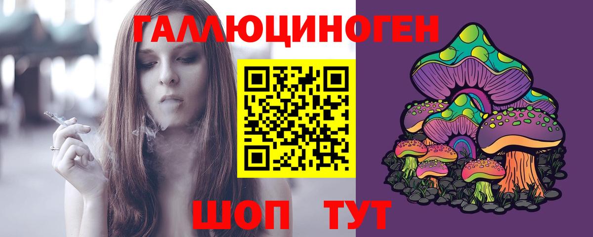 Галлюциногенные грибы Psilocybe  Вход с VPN  Псилоцибиновые грибы мухоморы  Кимовск 
