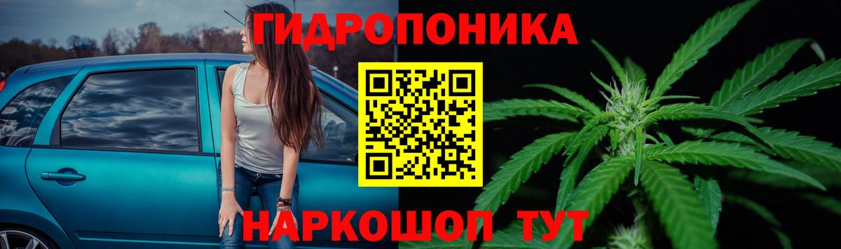 МАРИХУАНА Bruce Banner  Вход с VPN  МАРИХУАНА SATIVA & INDICA  Конопля сатива  Кимовск 